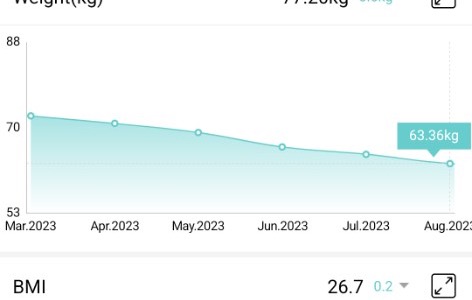 Weight progression from March to August 2023, declining from 73 kg to 63 kg